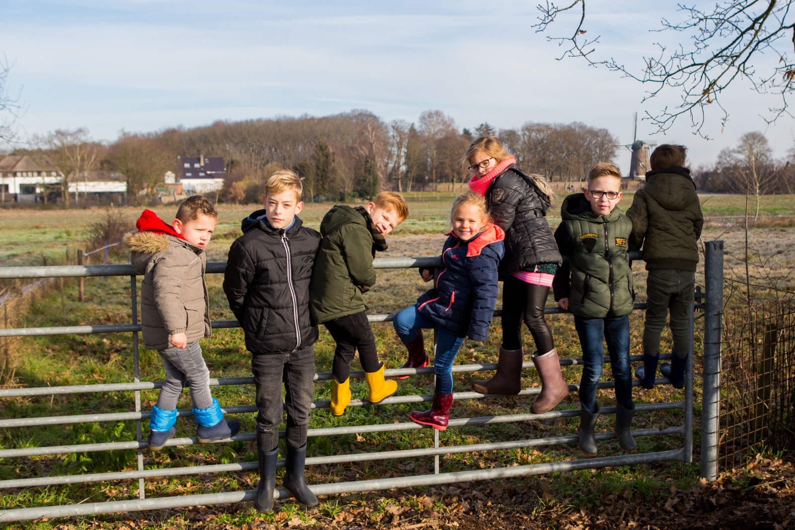 Kinderen op het hek in de wei