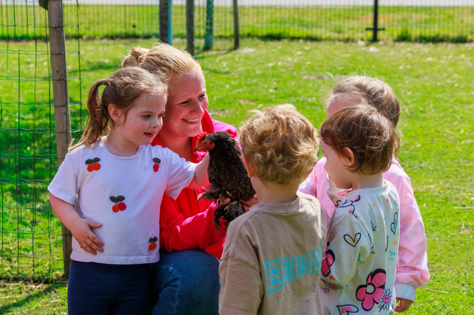 Sfeerbeeld Scharrelnest